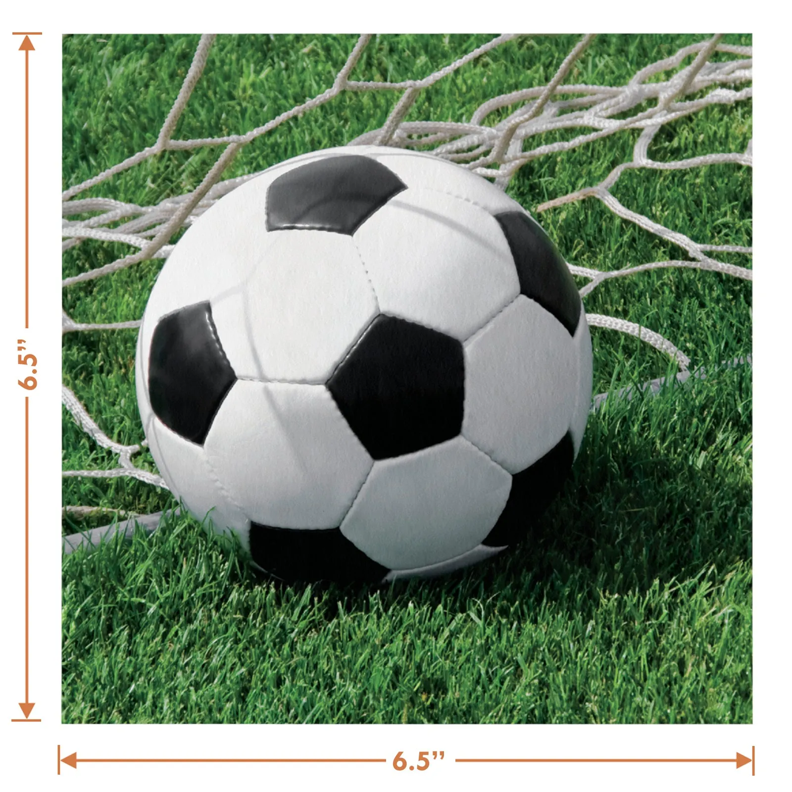 Soccer Party Supplies - Soccer Ball Paper Dinner Plates, Luncheon Napkins, and Forks (Serves 16)